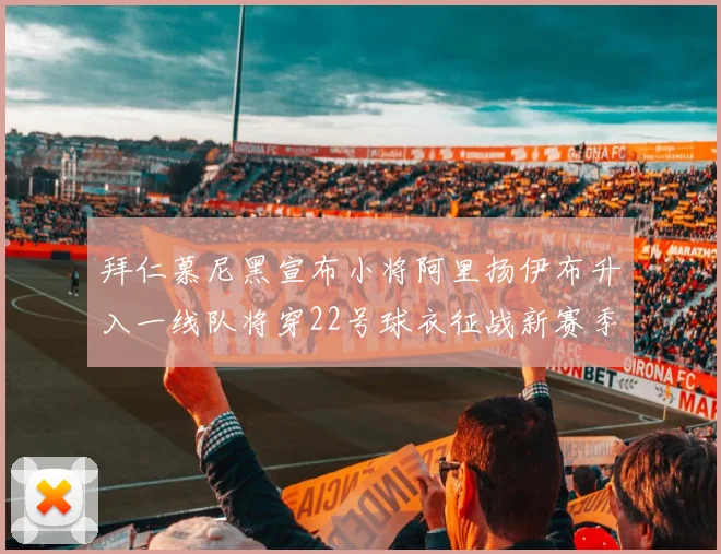 拜仁慕尼黑宣布小将阿里扬伊布升入一线队将穿22号球衣征战新赛季