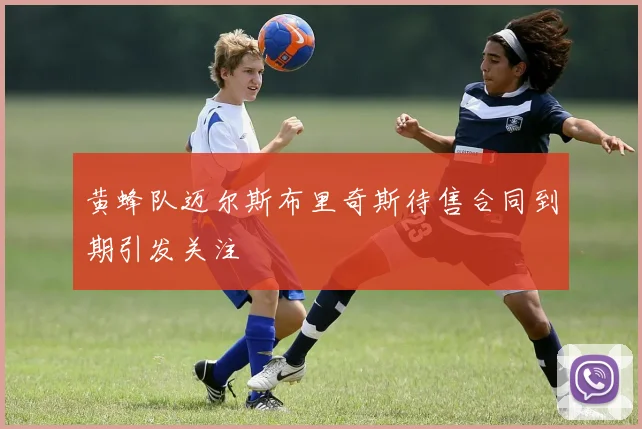 黄蜂队迈尔斯布里奇斯待售合同到期引发关注