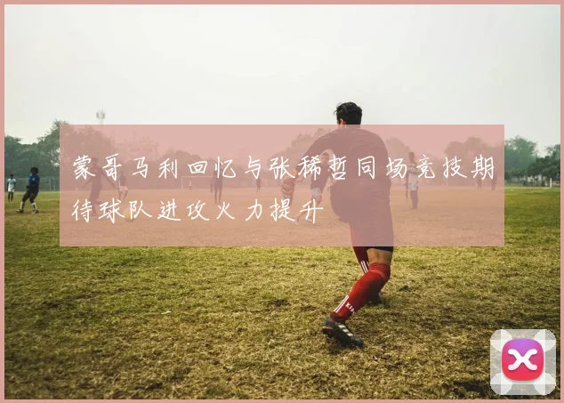蒙哥马利回忆与张稀哲同场竞技期待球队进攻火力提升
